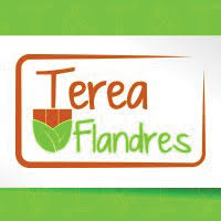 tereaflandres-partenaire-espacesverts-materiaux-cloture-terrasse-pavage-entretien-professionnel-paysagiste